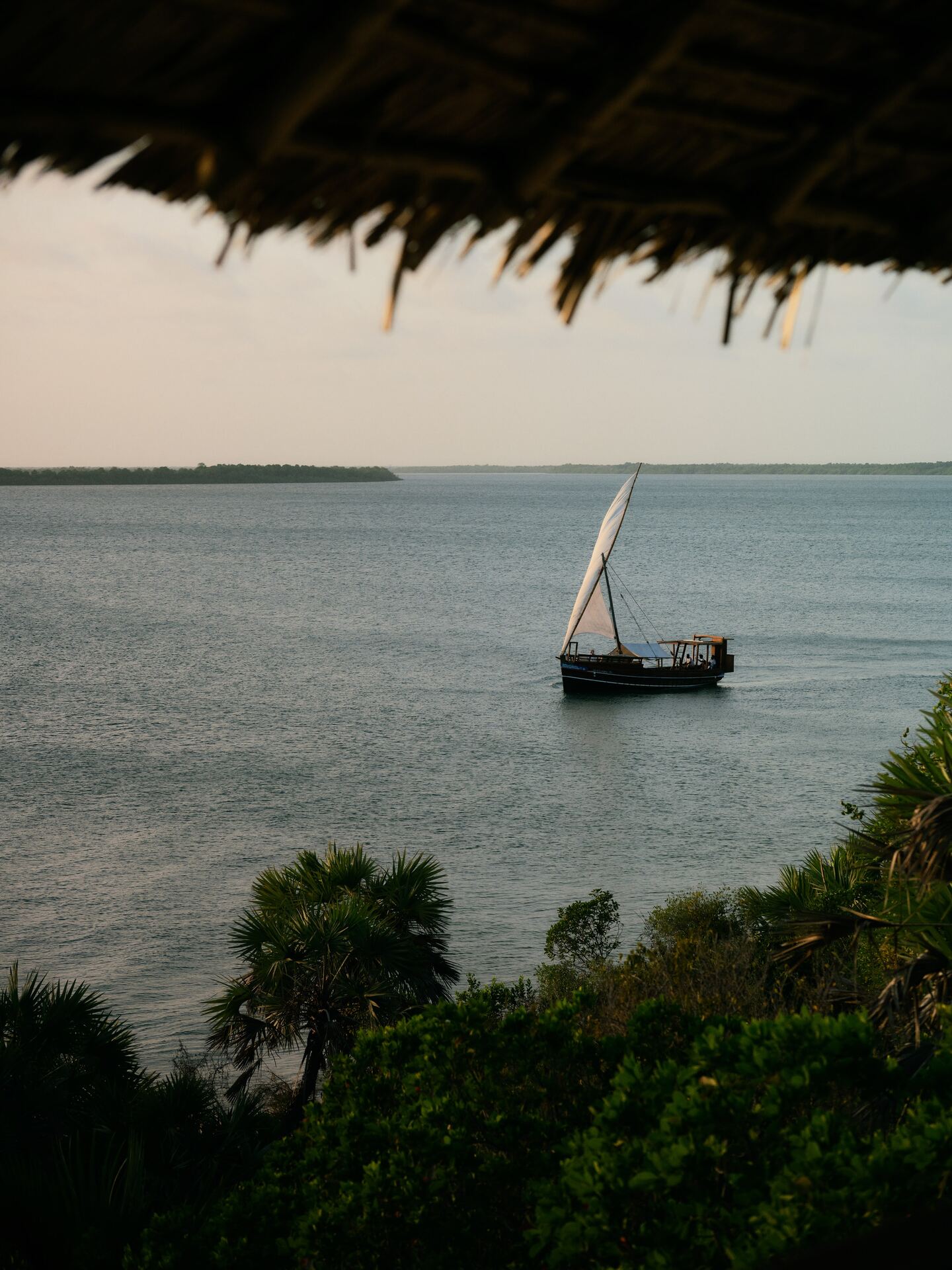 Dhow at full sail